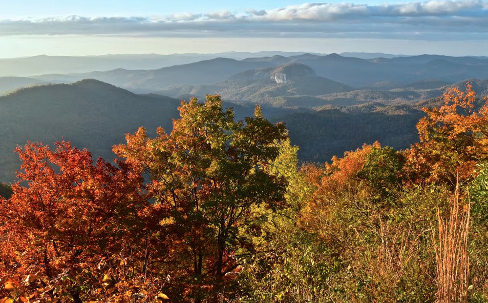 ASHEVILLE CITIZEN-TIMES: Asheville protesters urge US Forest Service to decrease logging in Pisgah National Forest