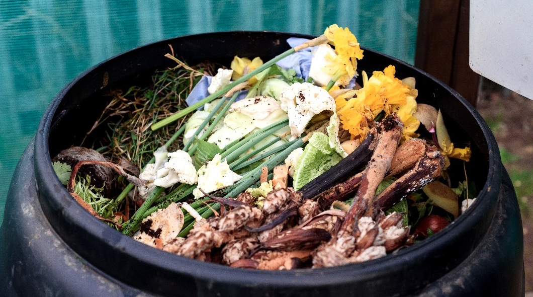 CITY OF ASHEVILLE: Food Waste Reduction Initiative & Composting