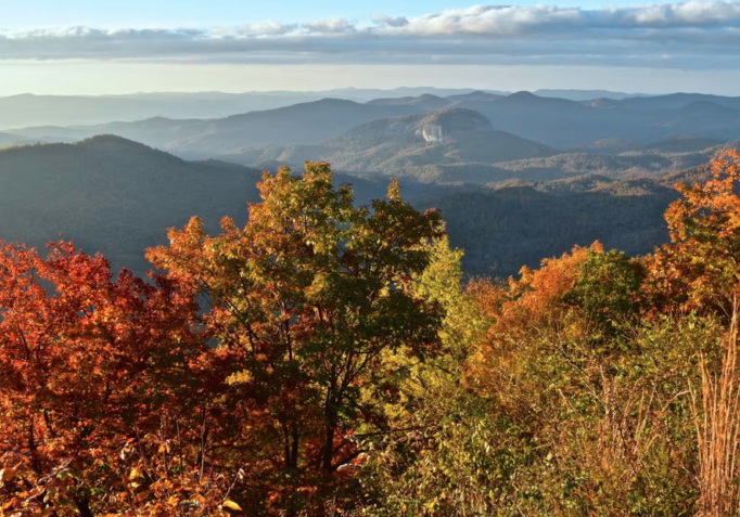Pisgah National Forest