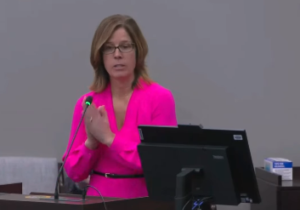 Defended DEI and reparations in testimony before the NC General Assembly