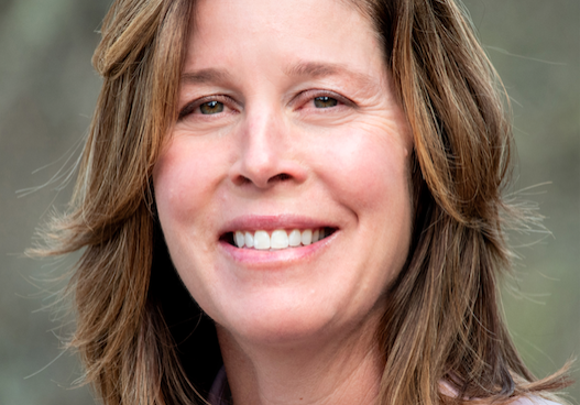 About Esther Manheimer for Mayor on the Issues.
