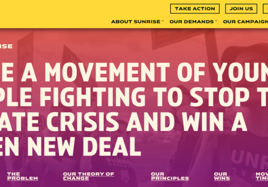 Sunrise Movement WNC