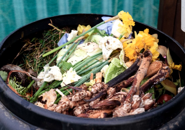 CITY OF ASHEVILLE: Food Waste Reduction Initiative & Composting